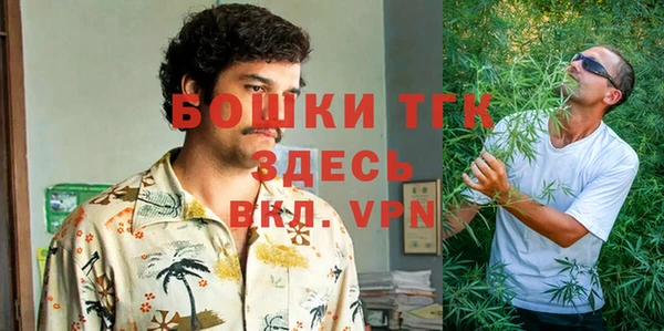 твердый Абаза