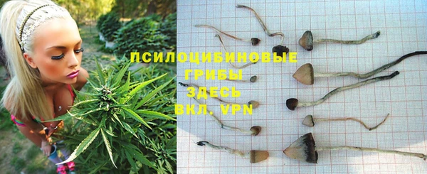 прущий лед Абдулино