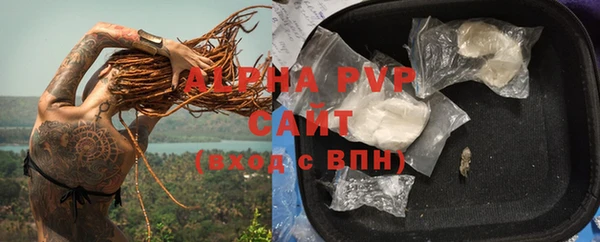 твердый Абаза