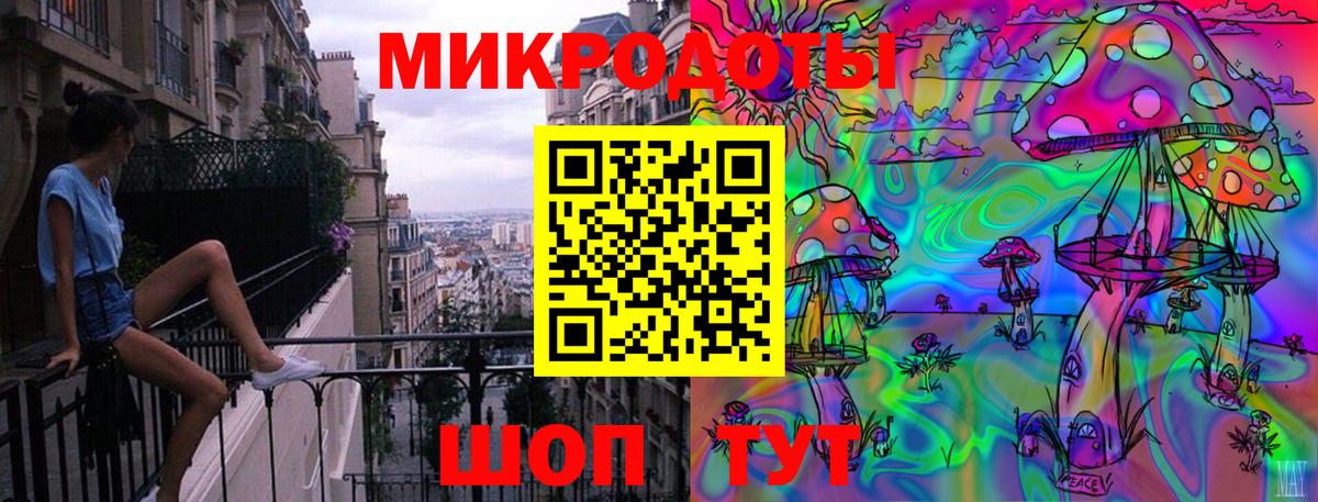 Галлюциногенные грибы Psilocybine cubensis Урус-Мартан