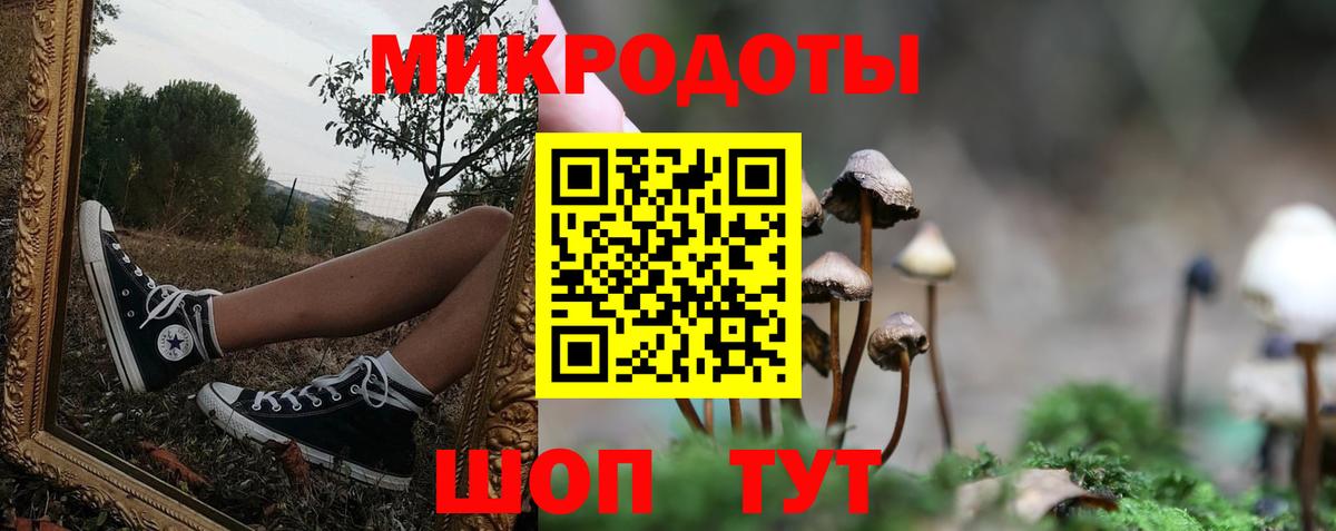 Урус-Мартан  Псилоцибиновые грибы прущие грибы  Вход с VPN 
